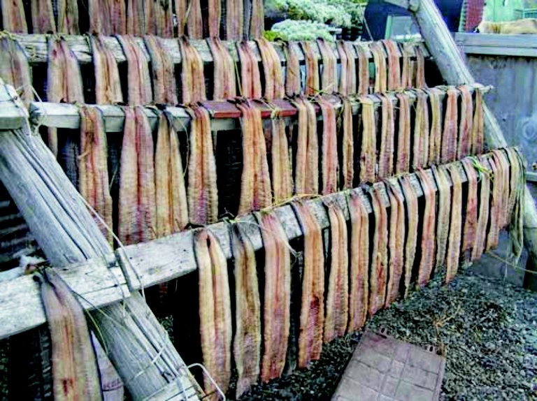 Eels drying on Whata
